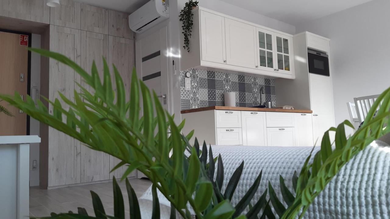 Апартаменты Apartament Biala Foczka Стегна Экстерьер фото